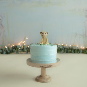 Photography with love cakesmash